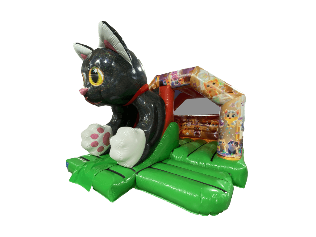 Paixnidea-Combo-Cat