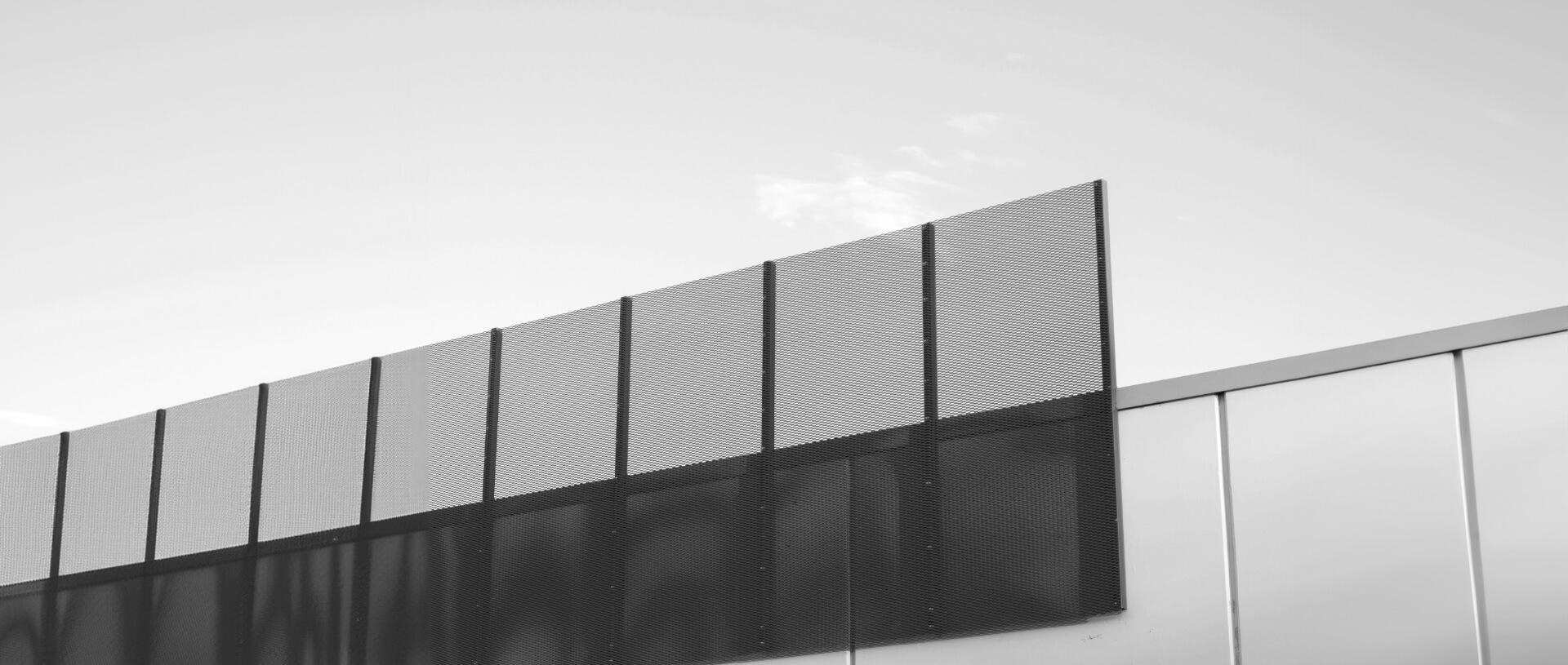 Paixnidea-Company-Photo